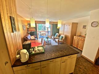 4 person apartment in central location - Morgins - 1