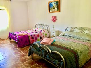Casa Rural Hoyo de Los Pájaros - Castril - 8
