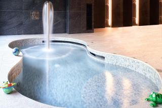 SPA VILNIUS Druskininkai - Druskininkai - 4