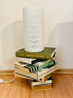 Studio Nicolas II Prague - 5