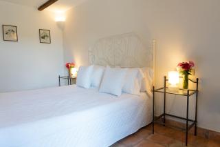 Frascati Country House - Grottaferrata - 7