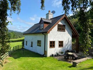 Tan Y Garth Cottage - Corwen - 9