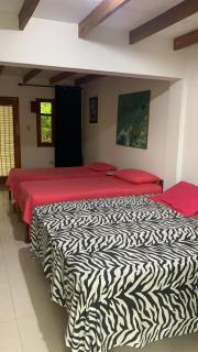 Hostal Casaluna San Andres - San Andrés - 9