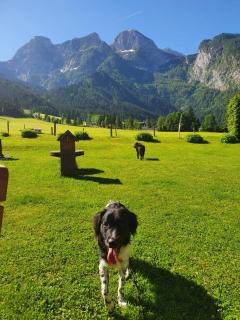 Landhaus Algerhof - 2