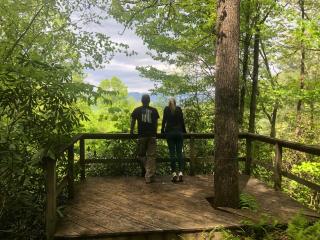 Hideaway at Harvest Moon - Sylva - 4