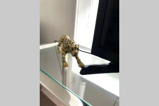 Arthur Apartment - 4