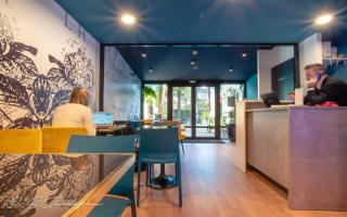 Hôtel Montilleul - Villa Primrose - Pau - 6
