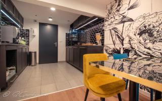 Hôtel Montilleul - Villa Primrose - Pau - 5