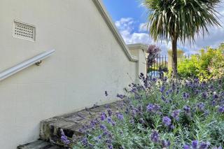 Lavender Apartment - Spacious apartment close to the beach - 1