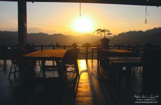 Square Peg - Kandy - 2