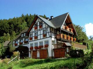 Lauras Landhauspension - Medebach - 0