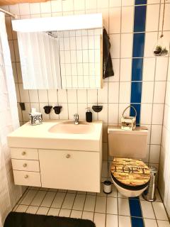 Appartement Aareschlucht- Grandiose Aussicht für 2-6 pers. - Meiringen - 5