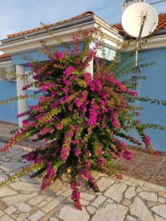 Holiday home Ankica - 3