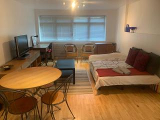Cozy 1 Bedroom Basement Flat - Londra - 7