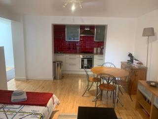 Cozy 1 Bedroom Basement Flat - Londra - 6