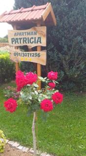 Apartman Patricia - Fužine - 1
