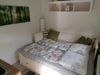 Casa Foresta - minimalistisches 1-Raum Tiny House direkt am Wald - Wingst - 6