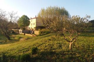 Bastide au milieu des vignes et des oliviers Aups - Aups - 6