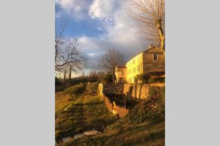 Bastide au milieu des vignes et des oliviers Aups - Aups - 5