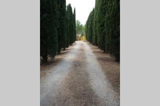 Bastide au milieu des vignes et des oliviers Aups - 9