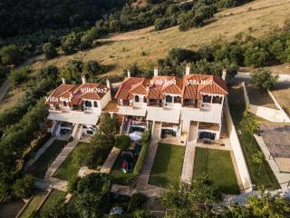 Chalkidiki Develiki Villas - Develíkia - 9