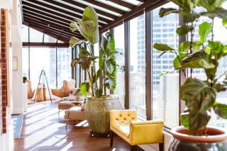 Hotel Theodore - 8