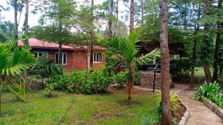 Coorg Nest Cottages By Dreamy Vacations - Kushalnagar - 9