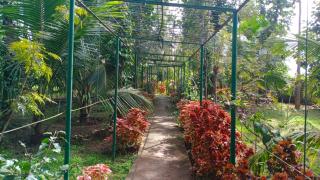 Coorg Nest Cottages By Dreamy Vacations - Kushalnagar - 8