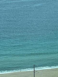 Donghae Oceancity Residence Hotel - 5