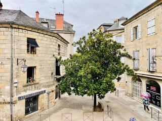 Les 4 saisons - Centre historique Brive - Brive-la-Gaillarde - 6