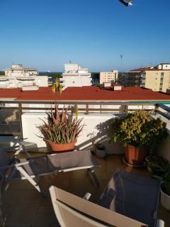 Pina Beach Holidays - La Pineda - 7