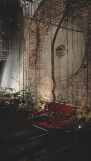 Frenz Republic - SELF CHECK IN - 0