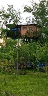 Eagle Nest - Martvili - 0