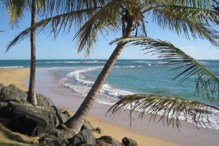 Comfortable and Affordable Deal Close to Beach and Rainforest - Río Grande - 1
