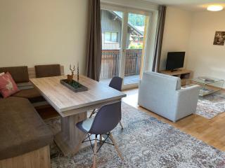 Monika-Mellau Appartements - Mellau - 1