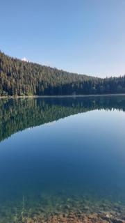 Guest House Milena - Žabljak - 6