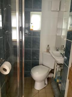 Primrose Villa self catering bnb - Monmouth - 3