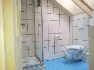 SAKÀ Vacation House - Druskininkai - 8