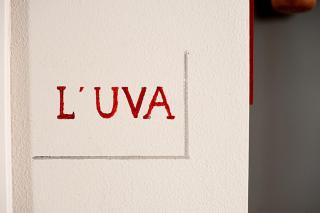 Il Giardino sul Tetto B&B - 1