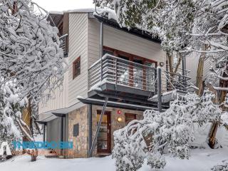 Mosswood 1 - Thredbo - 2