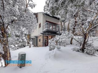 Mosswood 1 - Thredbo - 4