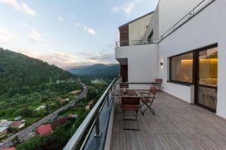 Apartament Carol Sinaia - Sinaia - 0