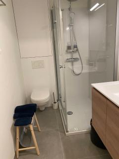 Cosy Studio Testerep , Newly Renovated - Ostende - 1