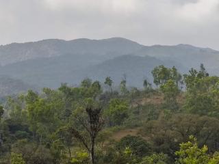 Jade Hills Coorg - Madikeri - 5