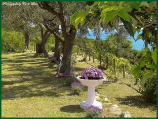 Villa Pierina - Finale Ligure - 5