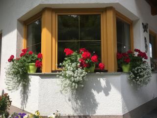 Haus Wildebene - Sankt Anton am Arlberg - 7