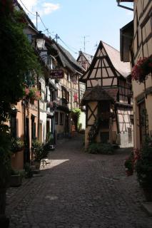 Résidence Vénus - Eguisheim - 1