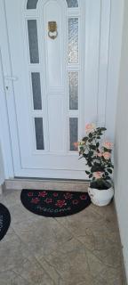 Guest House Perla - 1