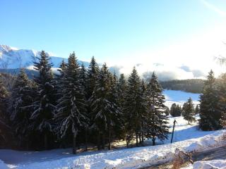 CHAMROUSSE-SPORT&DETENTE appartement 6 couchages avec superbe vue - Chamrousse - 1