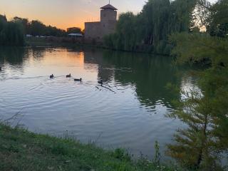 Rubint Apartman - Gyula - 6